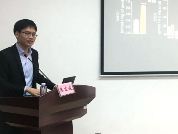 科研攻坚之道：张宏波教授解码干细胞研究的创新与突破