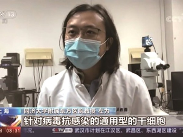 嘉陵江畔走出的干细胞先锋：同济大学左为教授的科研与创业传奇