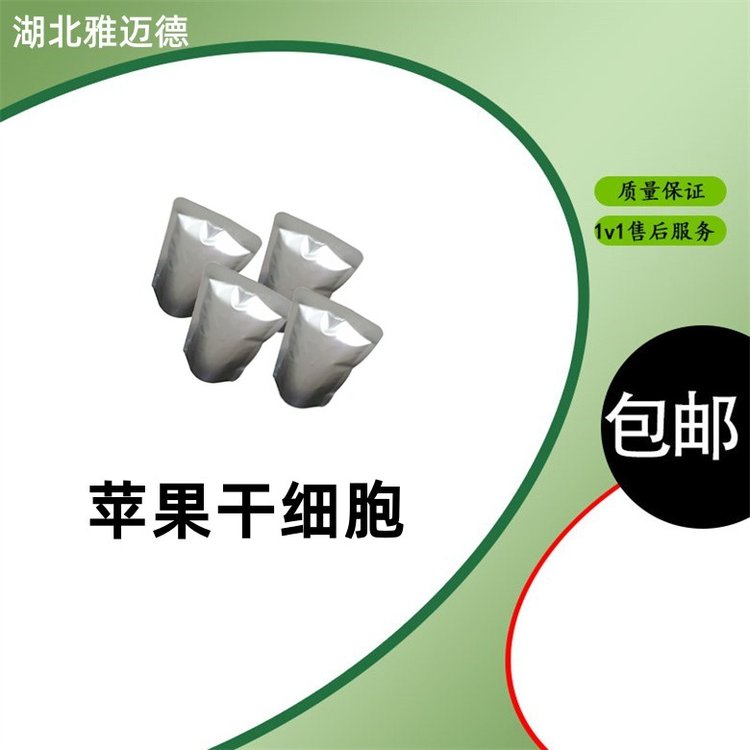 苹果干细胞